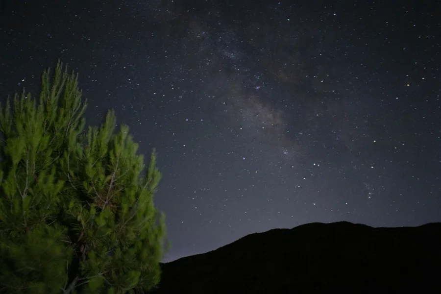 Night Photo 1